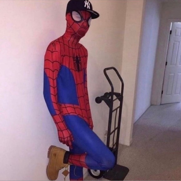 dhornfog